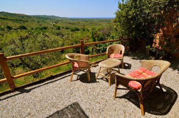 <a href=?c-4-castagneto-carducci-br-landgut-mit-3-wohnungen,64>C 4 - Landgut bei Castagneto Carducci:<br />2 Ferienwohnungen mitten im Olivenhain</a>